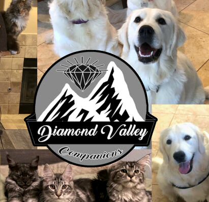 Diamond Valley Companions