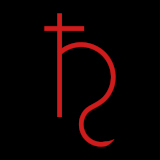 RiddleSec Privacy Services