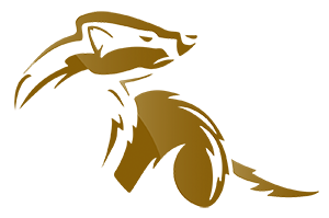 AnarCon anarchist convention